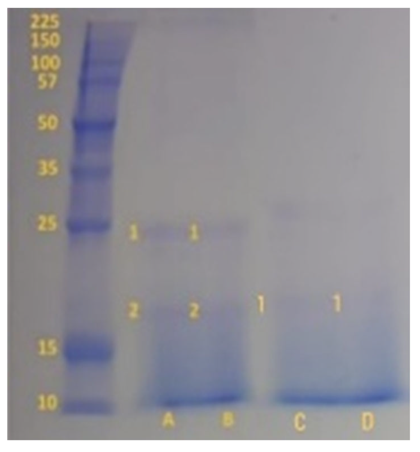 Applsci 13 04277 g004 Applsci 13 04277 g004