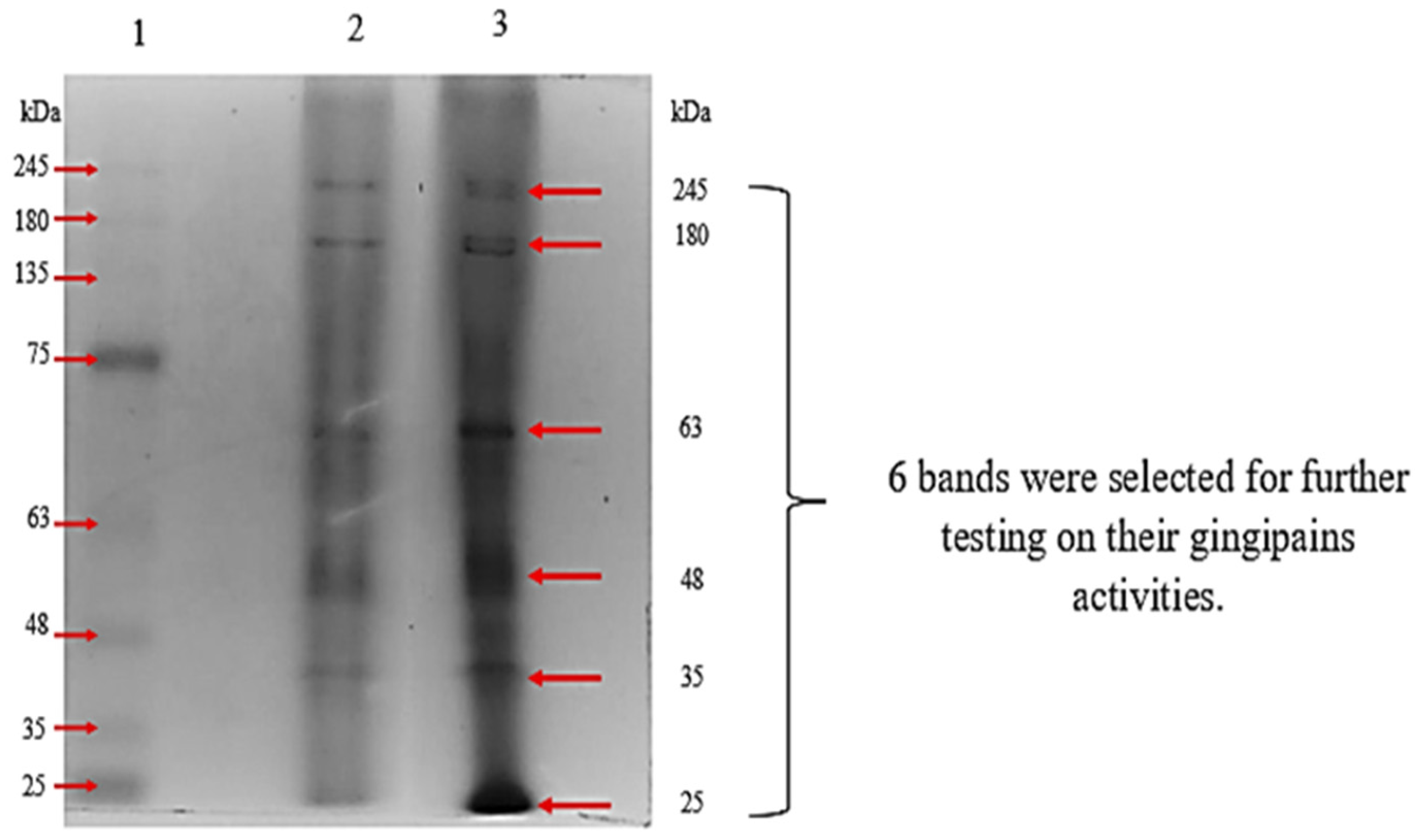 Applsci 13 04314 g002