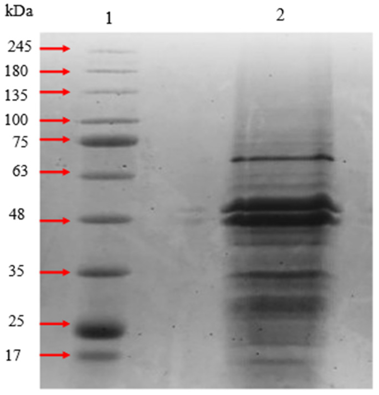 Applsci 13 04314 g003