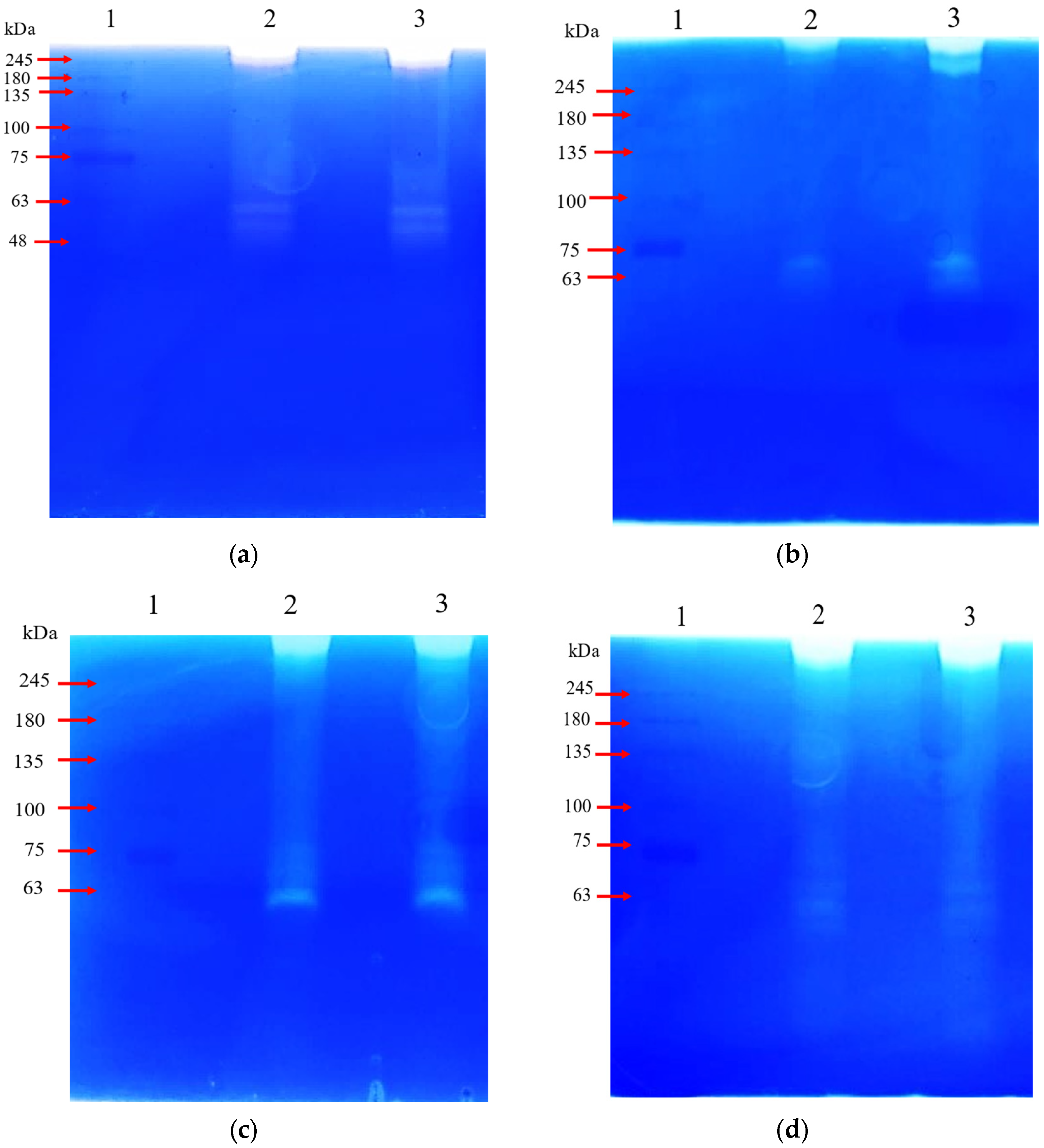 Applsci 13 04314 g004