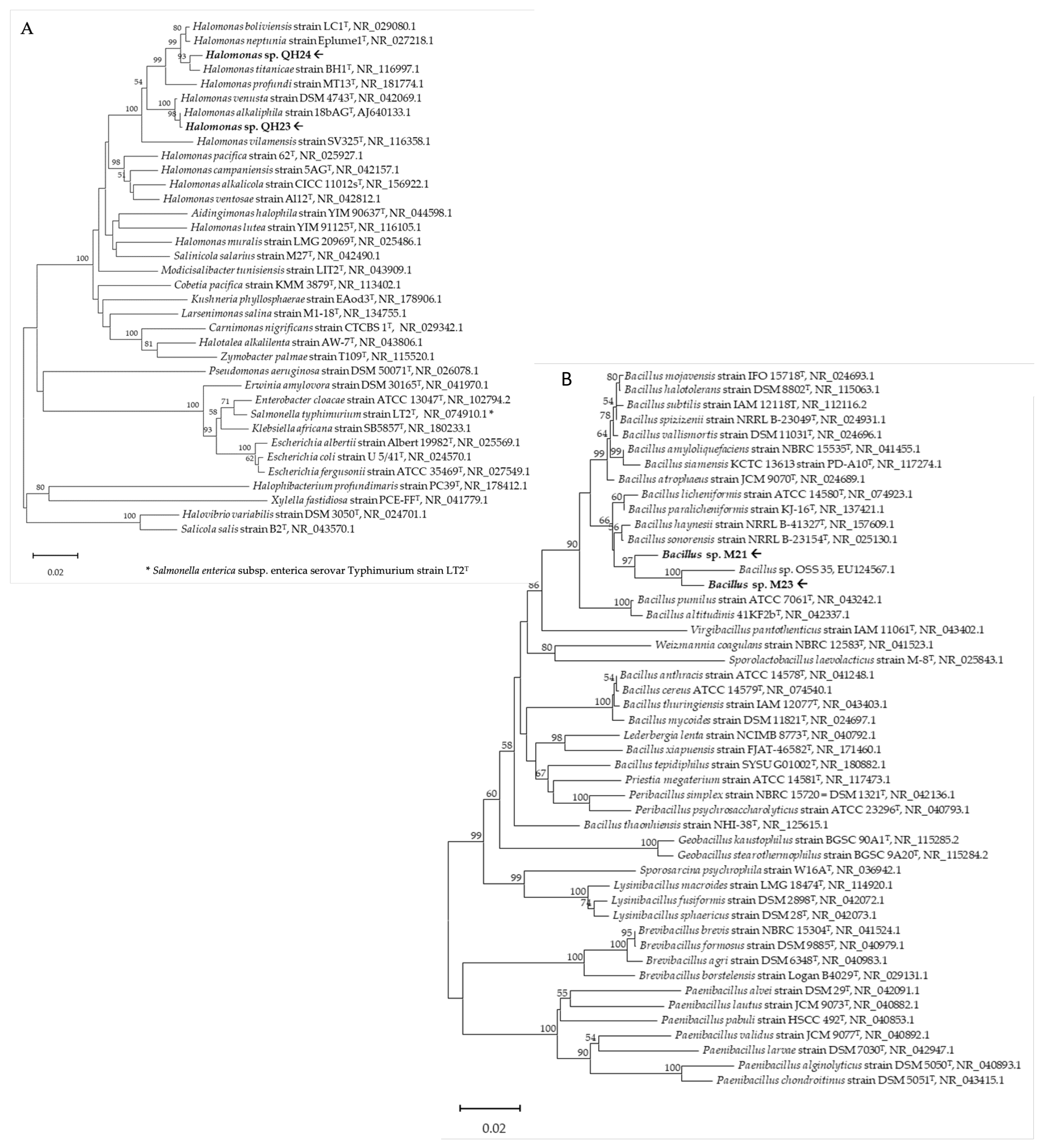 Applsci 13 04320 g001 Applsci 13 04320 g001