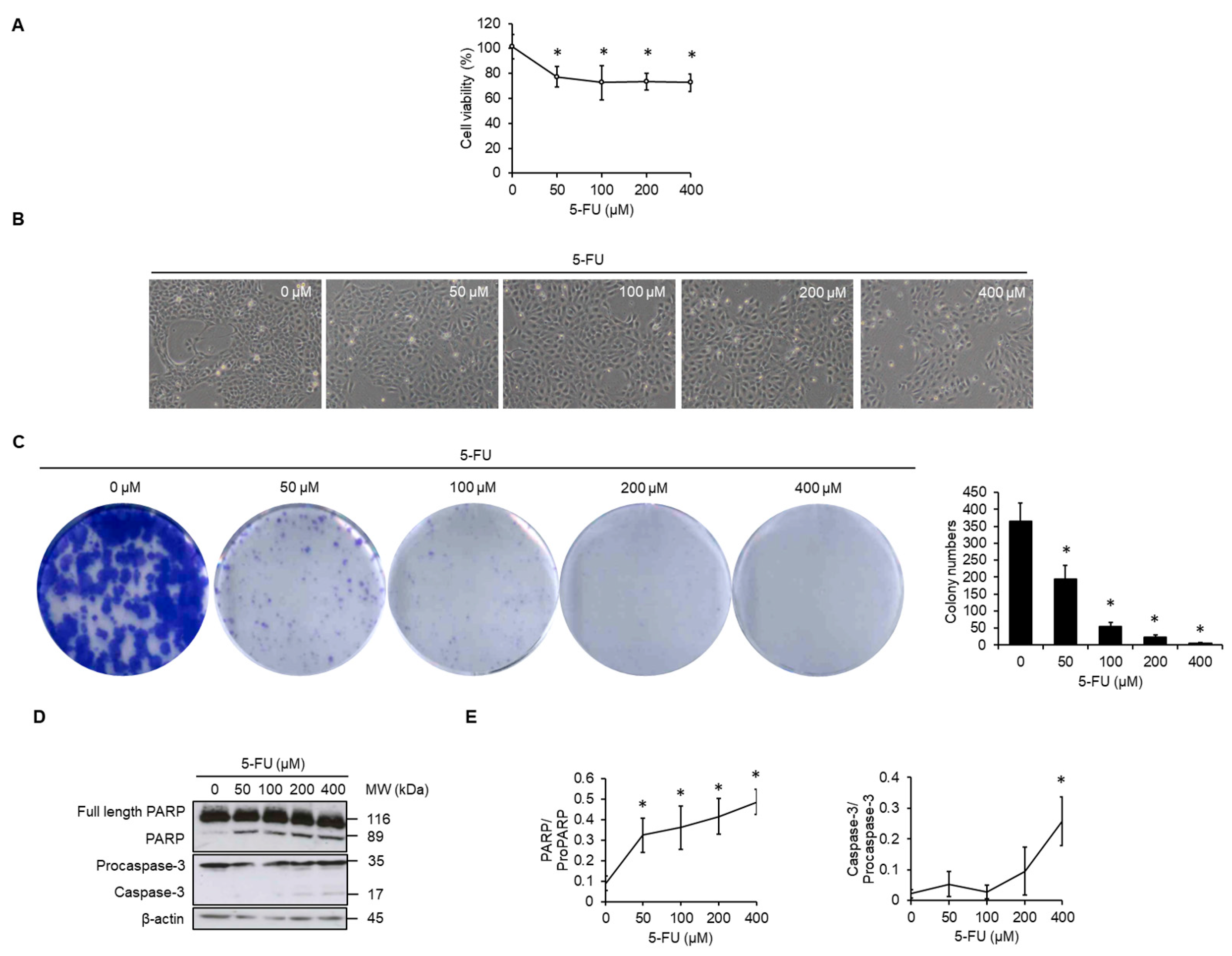 Applsci 13 04340 g001