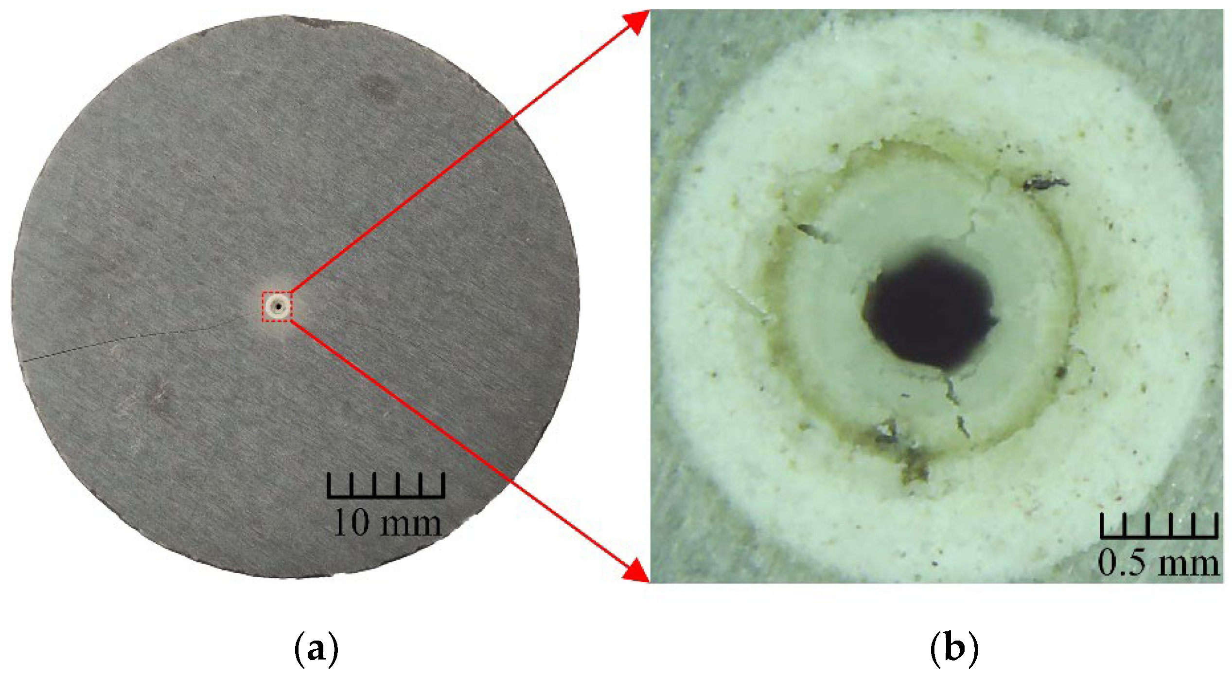Applsci 13 04347 g007 Applsci 13 04347 g007