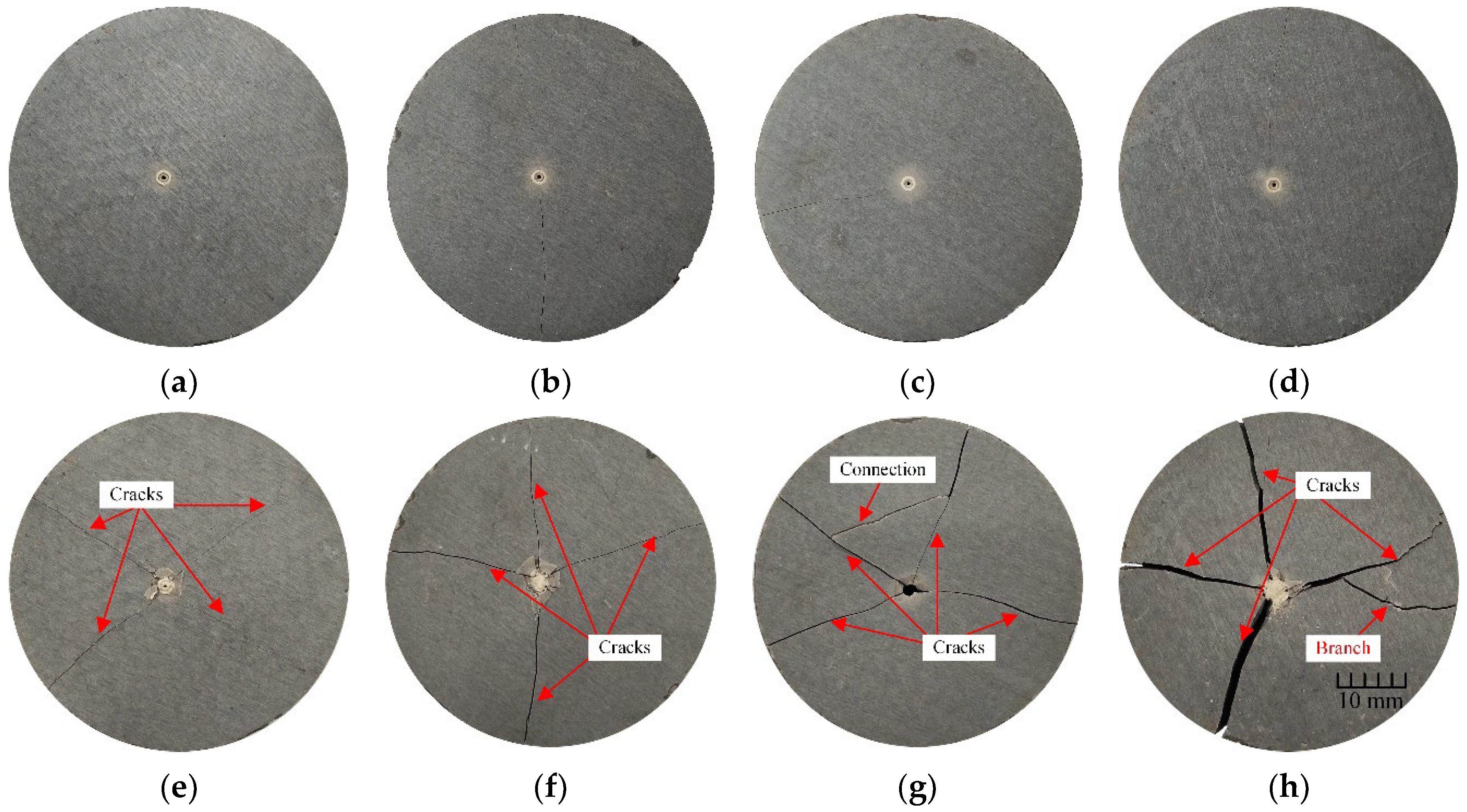 Applsci 13 04347 g012 Applsci 13 04347 g012