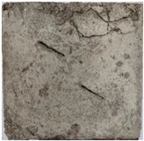 Applsci 13 04354 i016