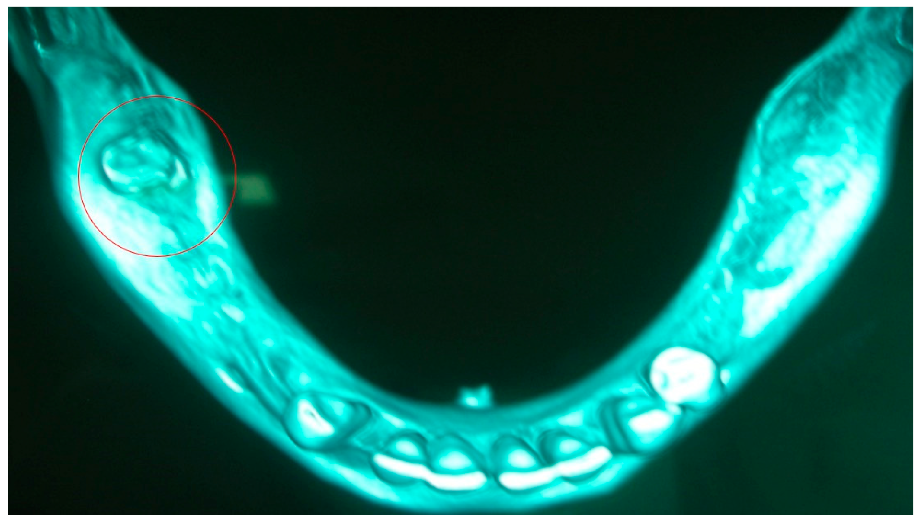 Applsci 13 04370 g009