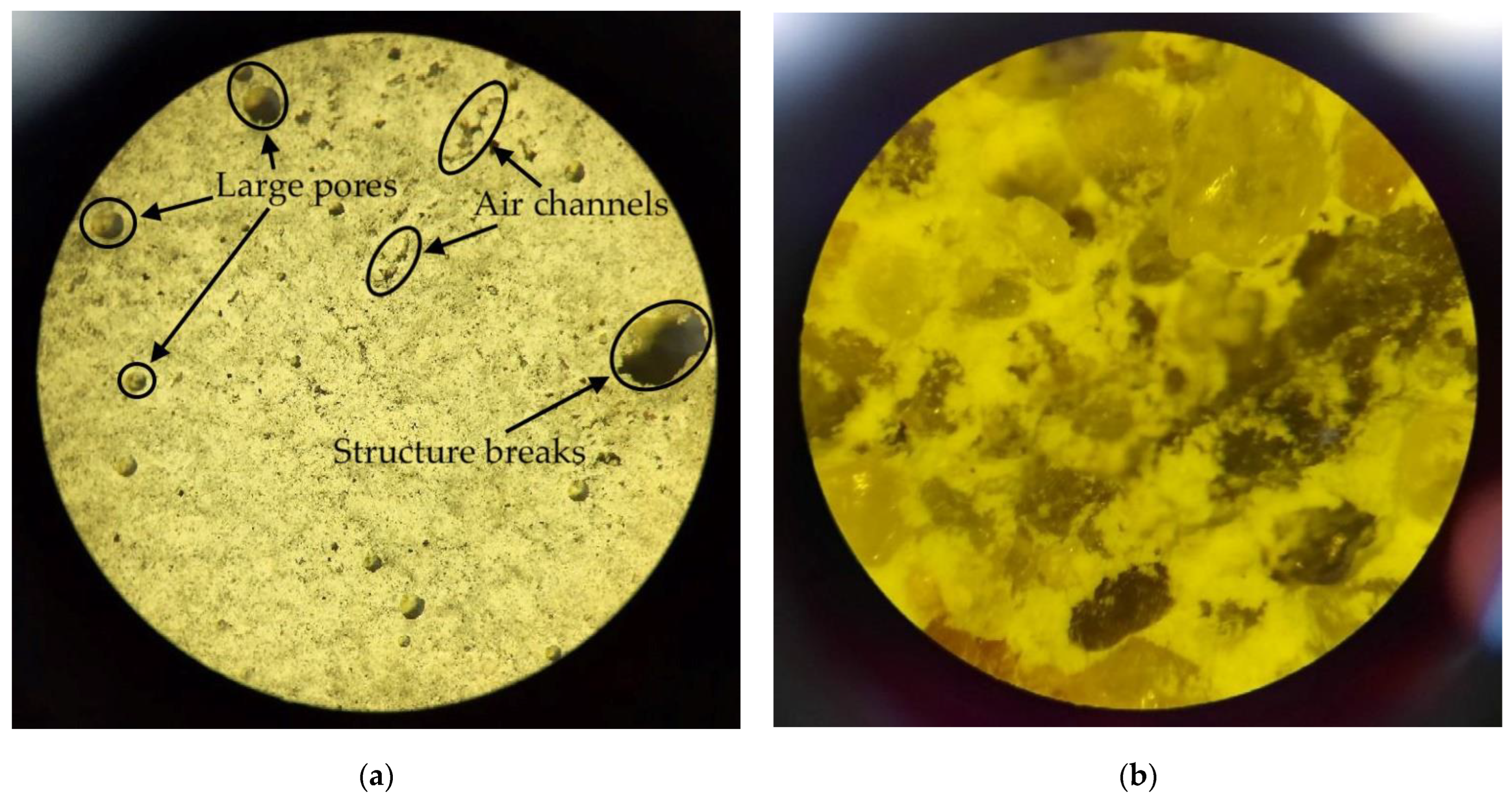 Applsci 13 04386 g010 Applsci 13 04386 g010