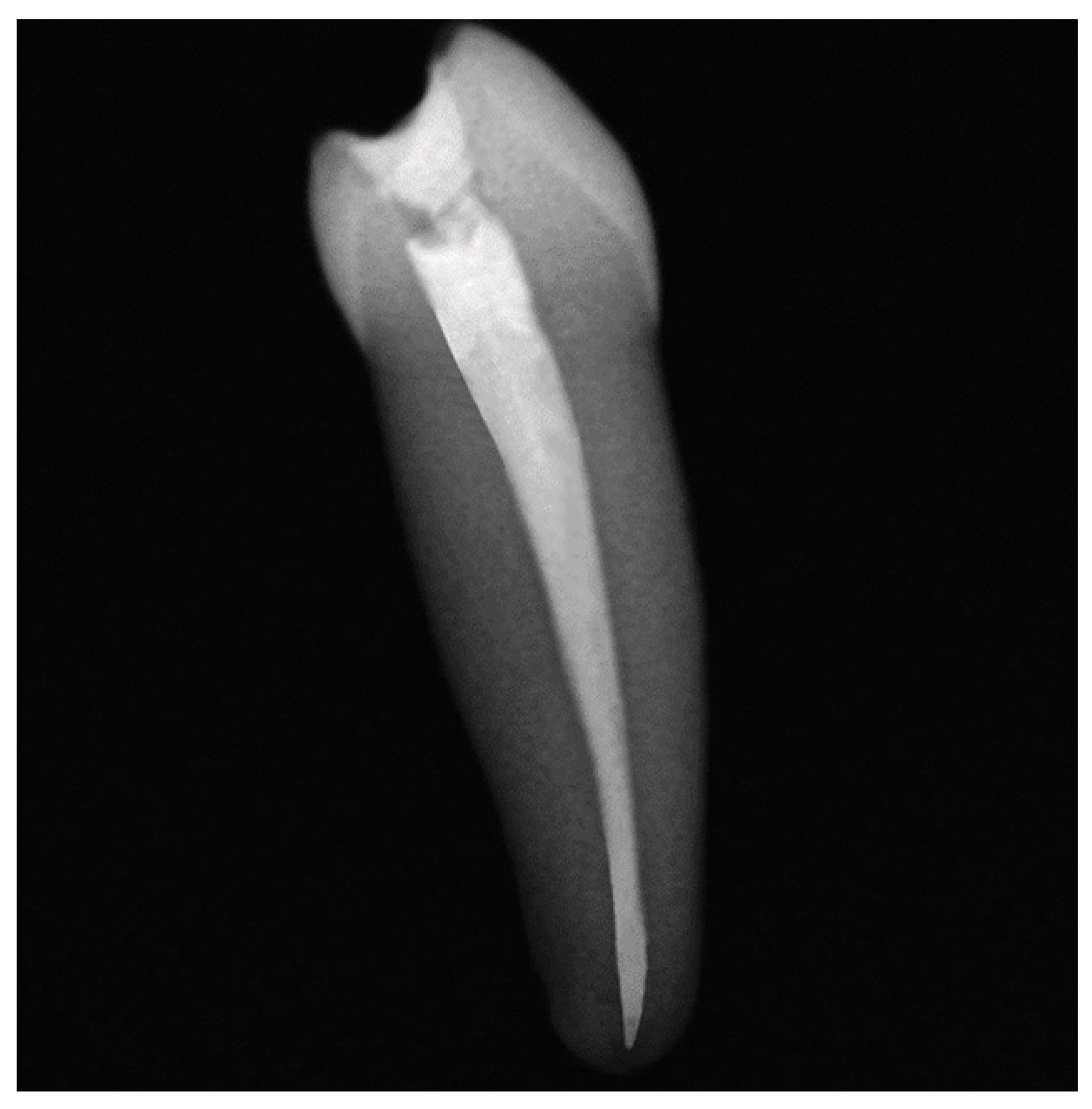 Applsci 13 04388 g001 Applsci 13 04388 g001