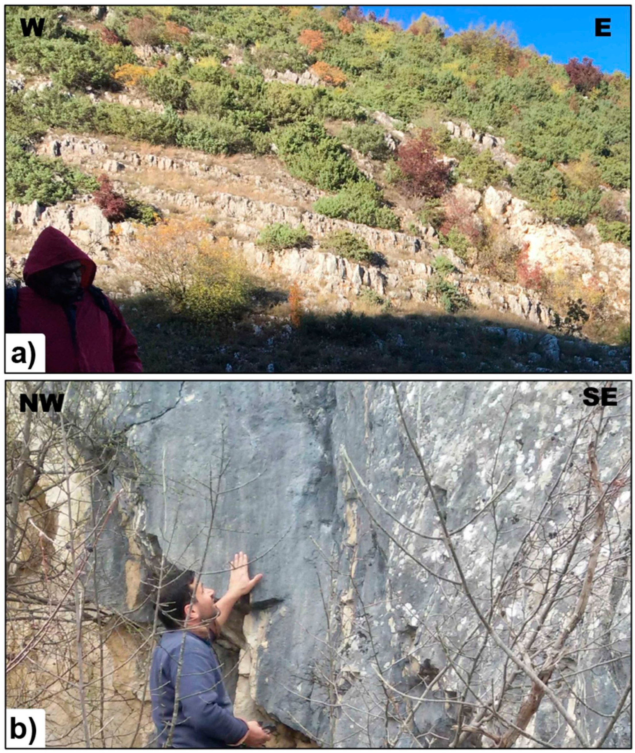 Applsci 13 04417 g003