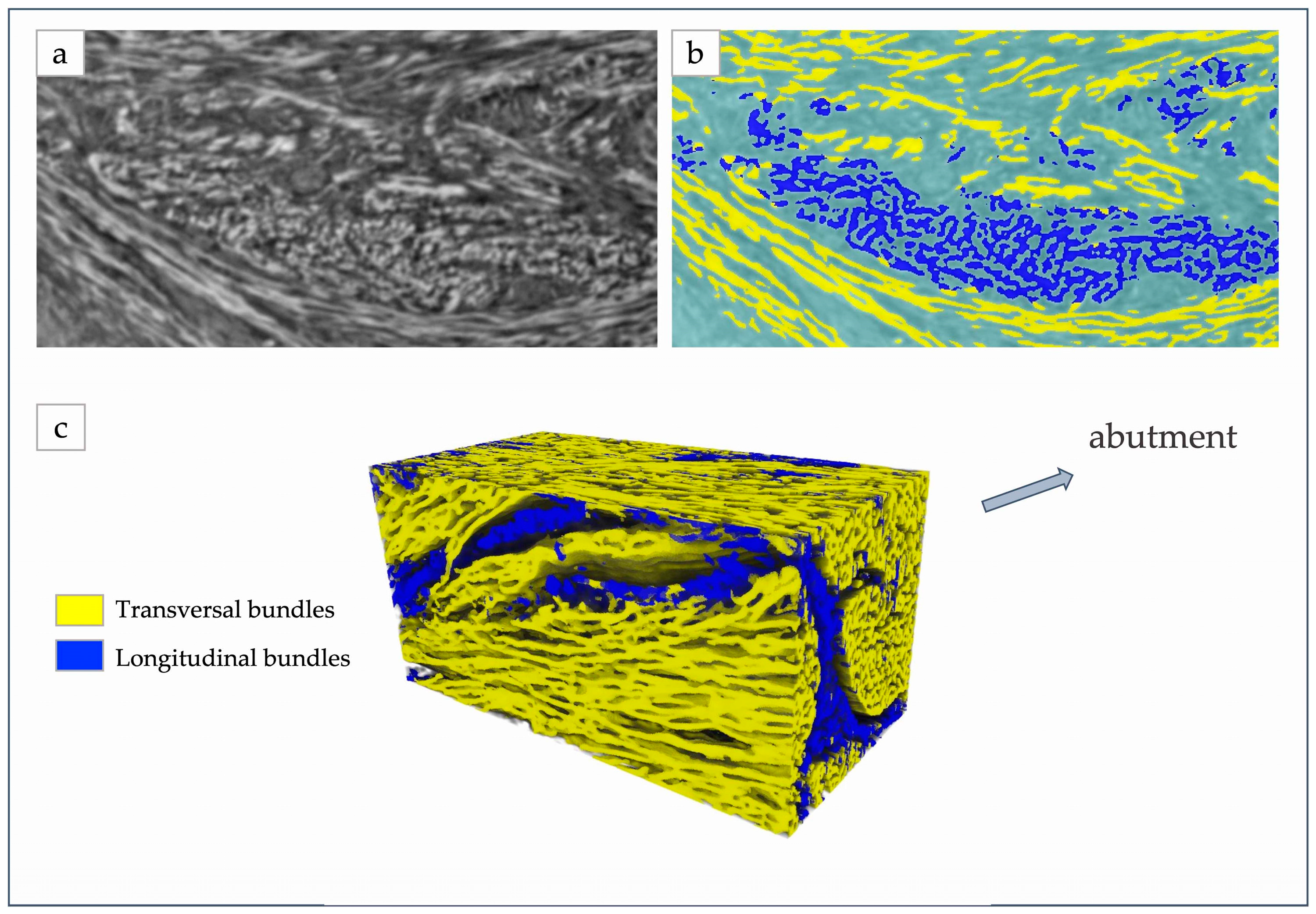 Applsci 13 04423 g004