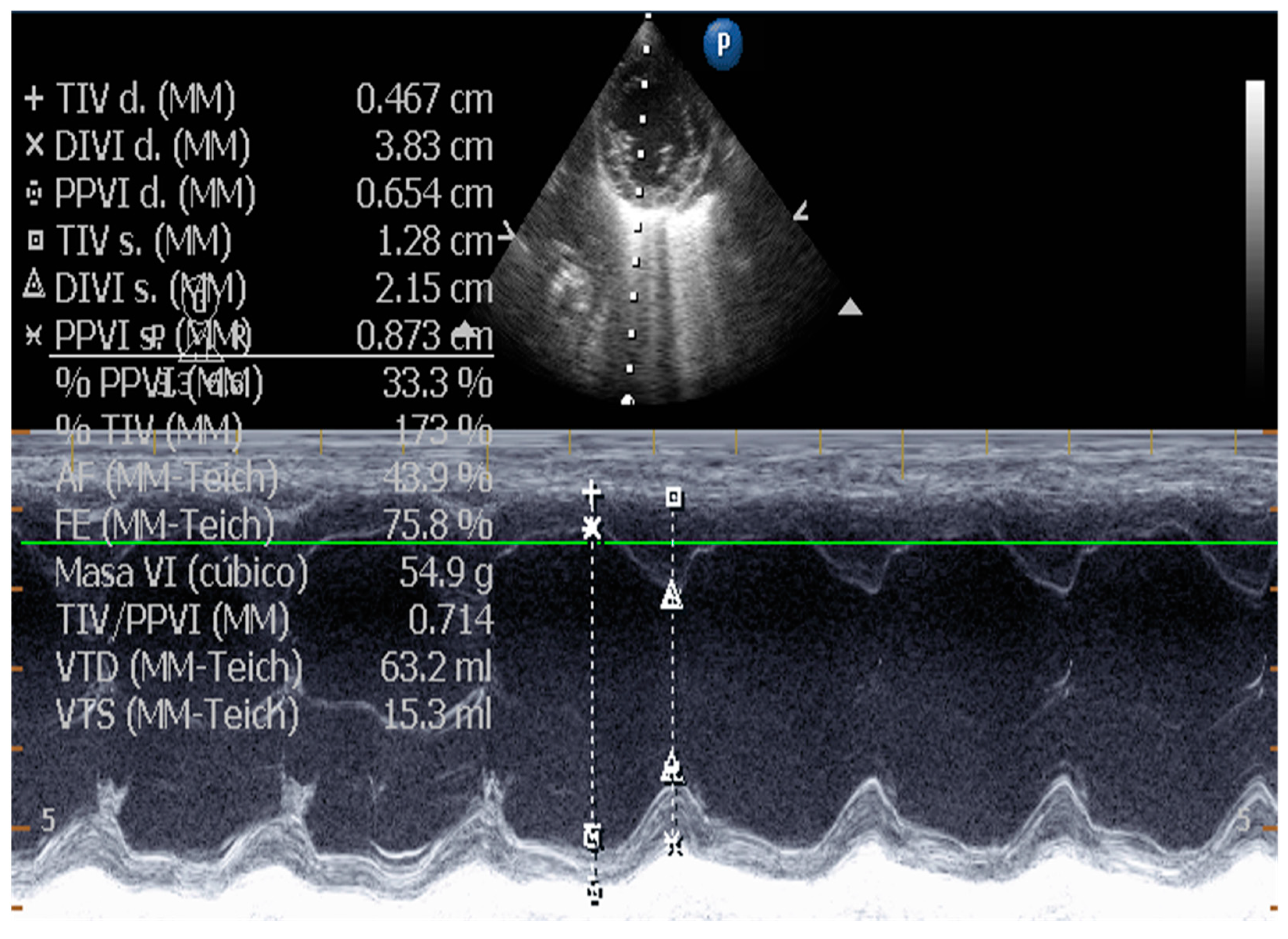 Applsci 13 04437 g013