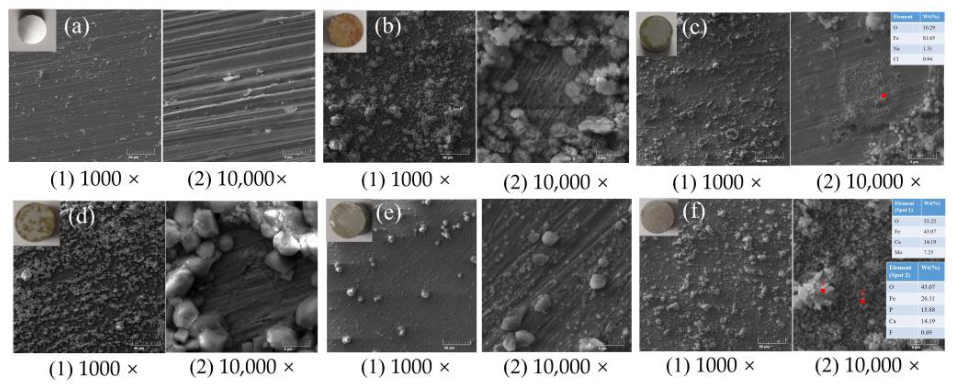 Applsci 13 04446 g013 Applsci 13 04446 g013