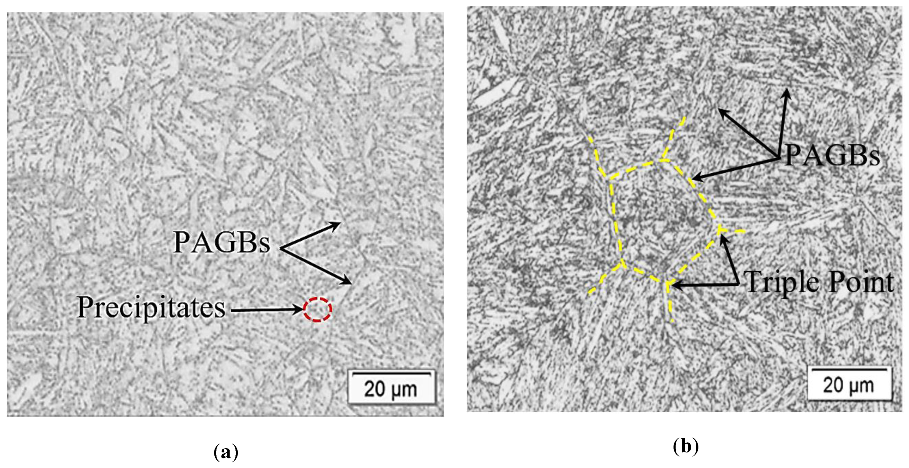 Applsci 13 04449 g002 Applsci 13 04449 g002