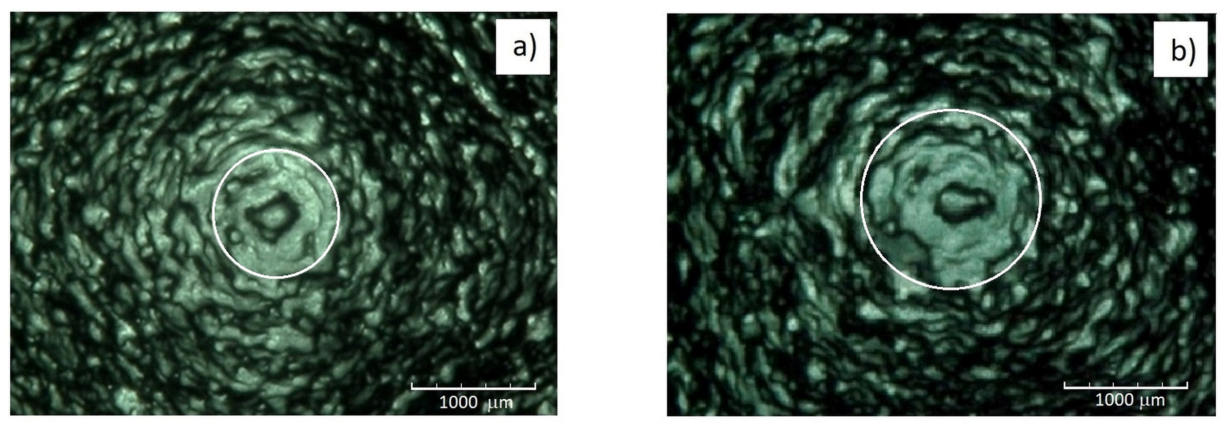 Applsci 13 04463 g004 Applsci 13 04463 g004