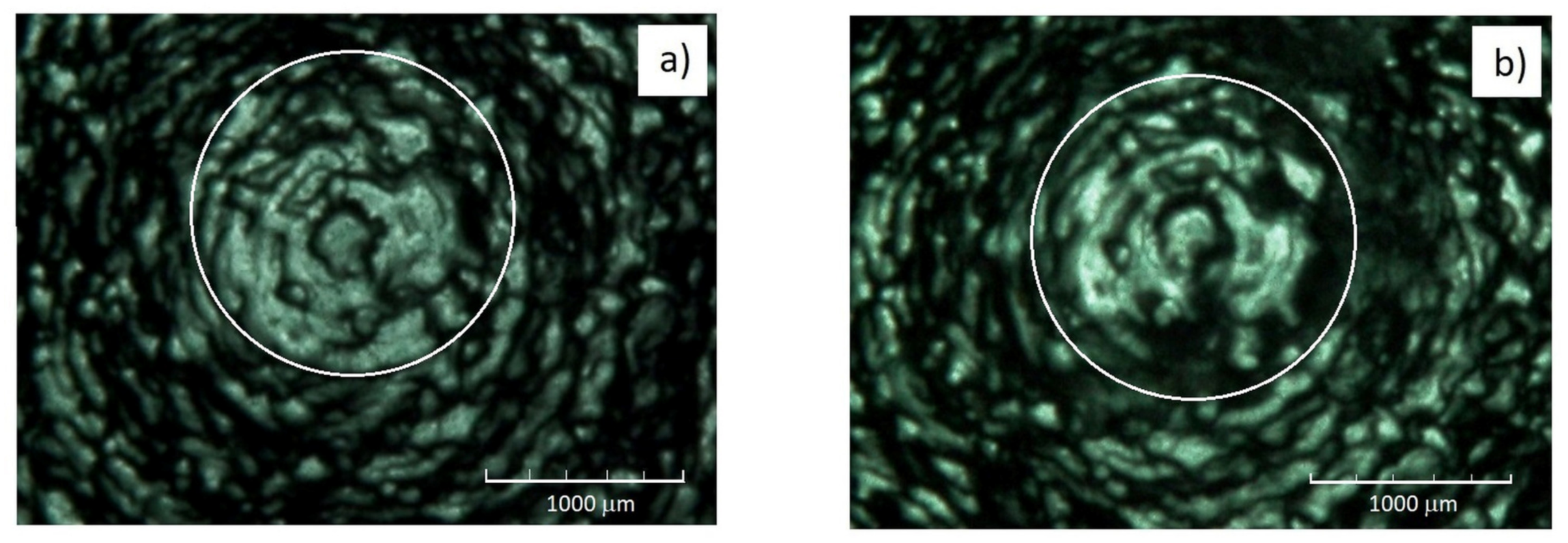 Applsci 13 04463 g005 Applsci 13 04463 g005