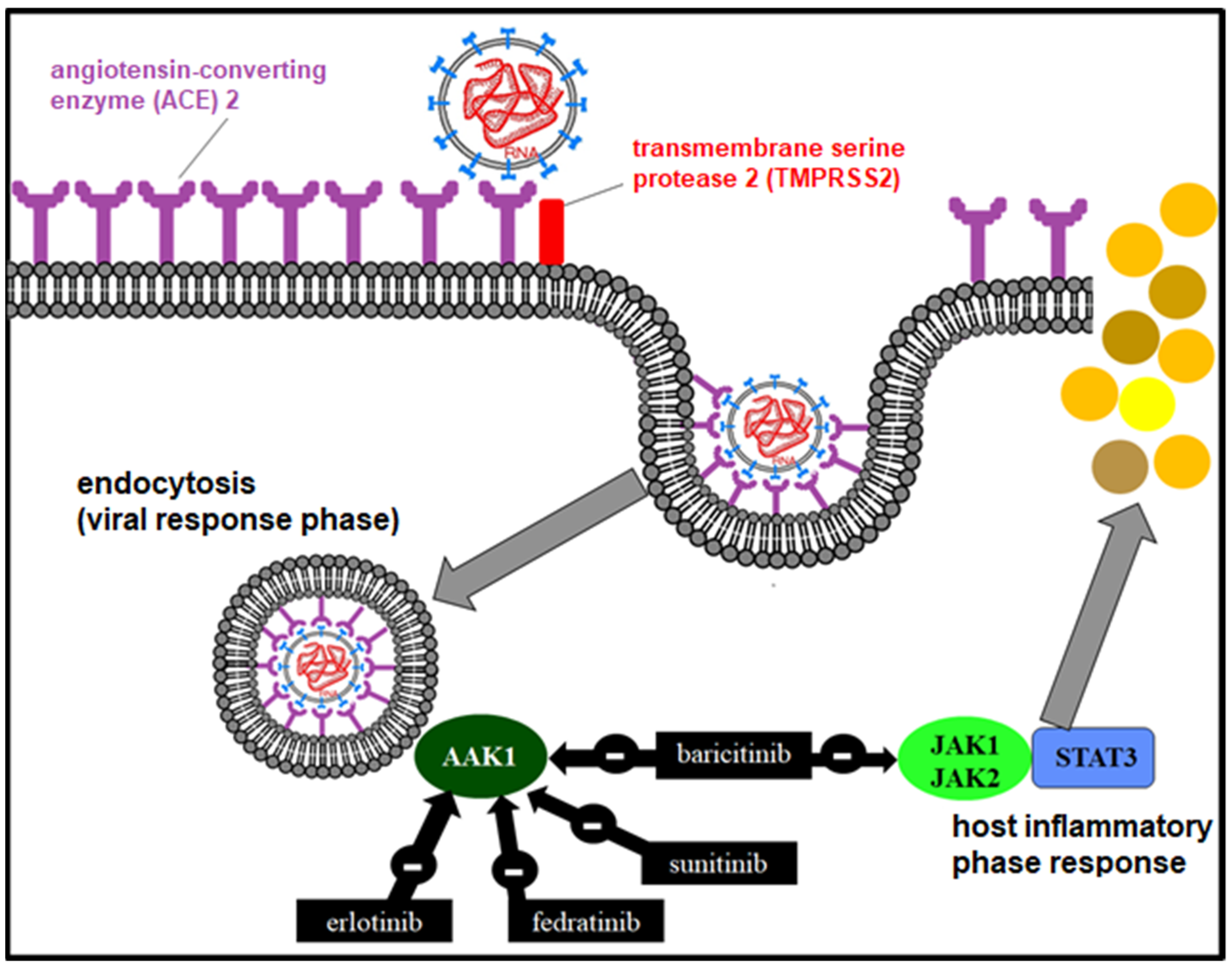 Applsci 13 04471 g005 Applsci 13 04471 g005