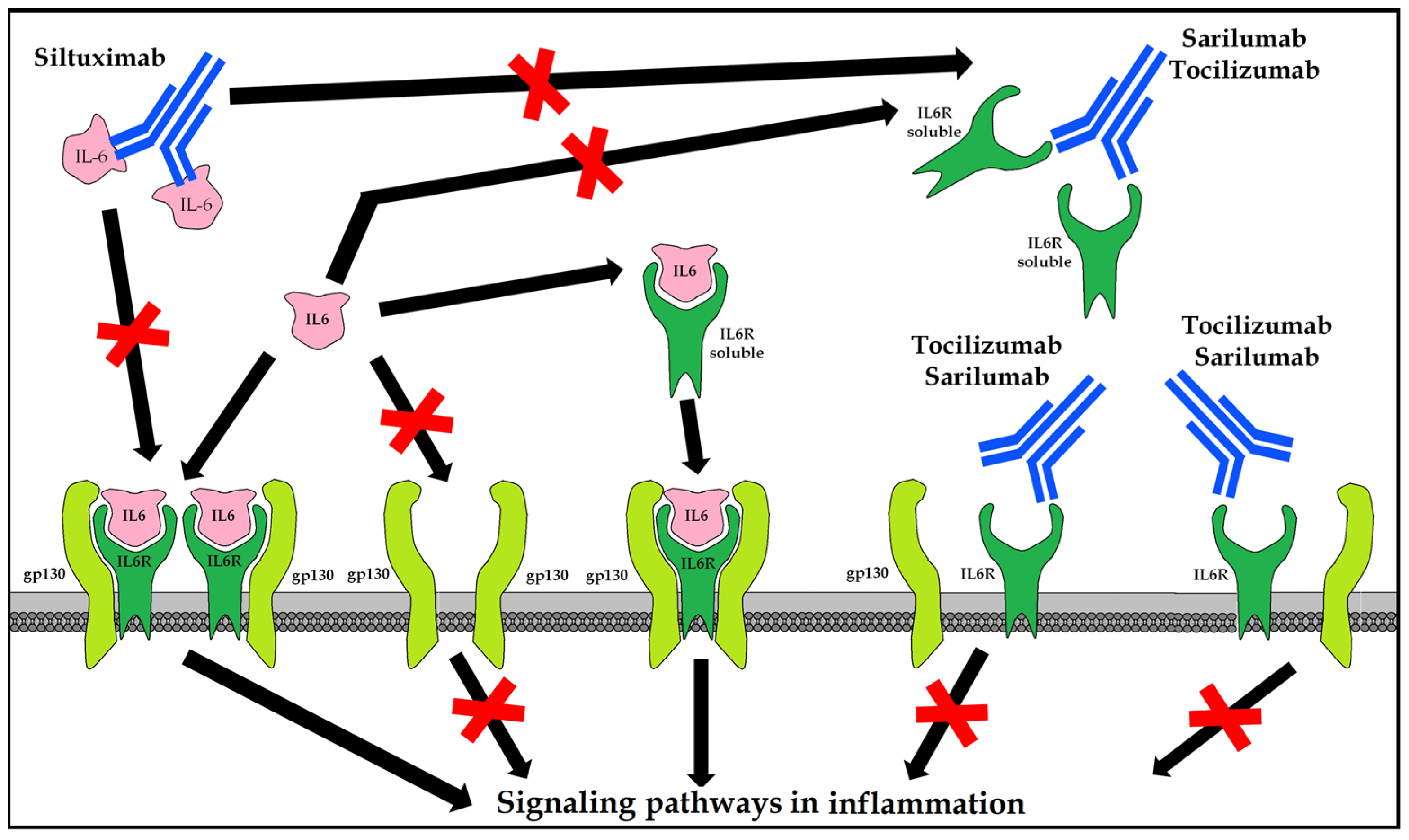 Applsci 13 04471 g007 Applsci 13 04471 g007