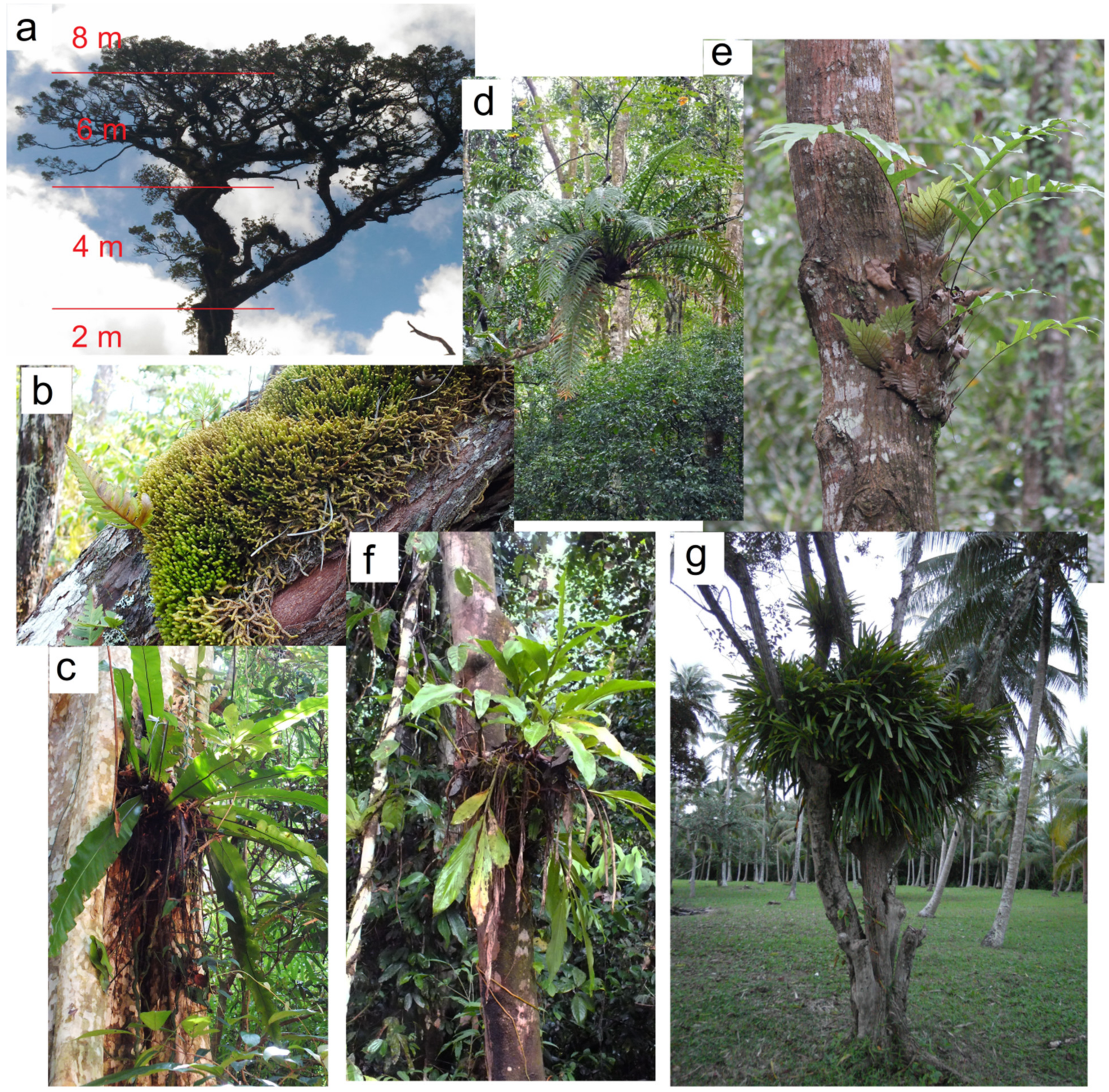 Applsci 13 04473 g002 Applsci 13 04473 g002