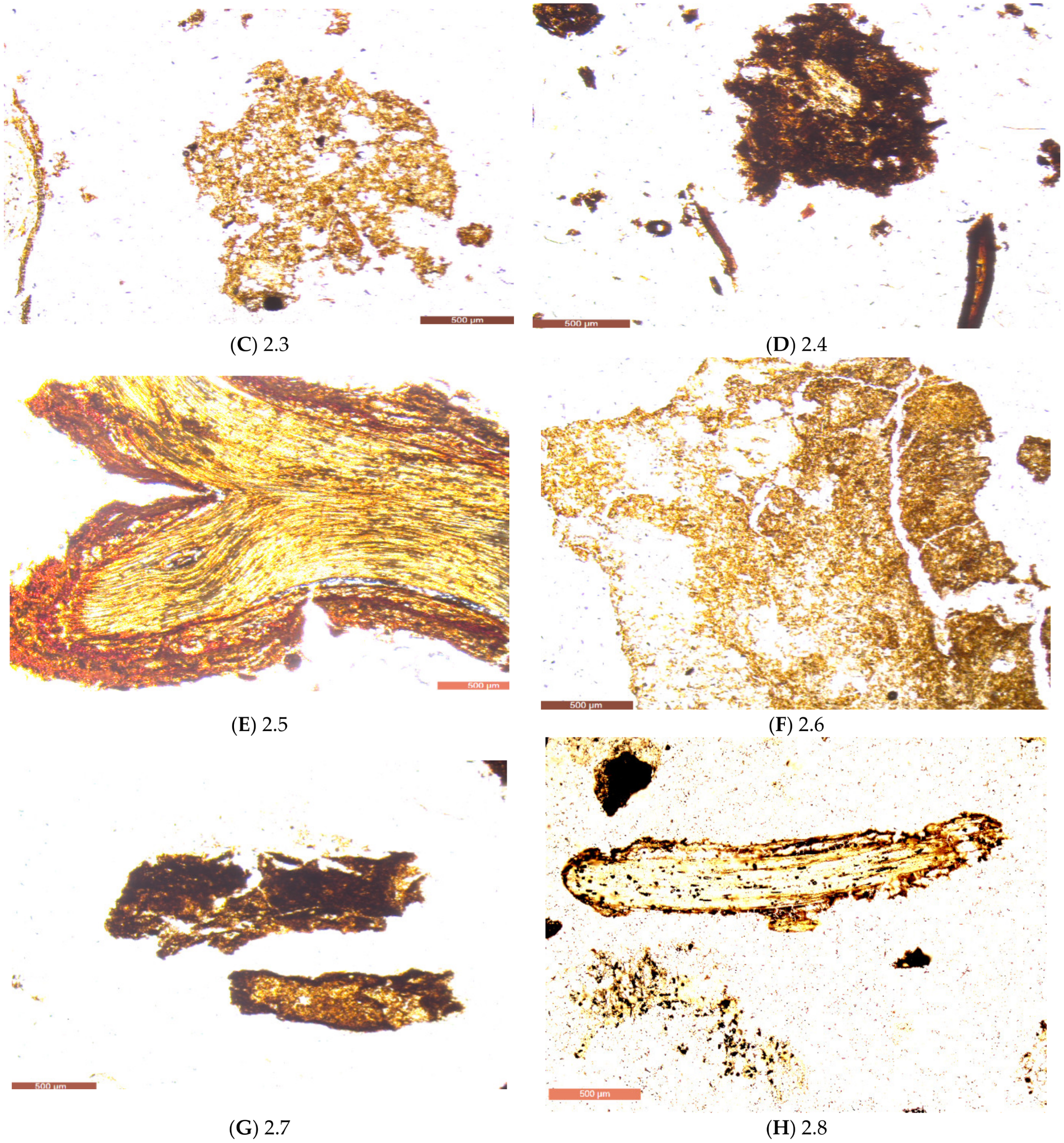 Applsci 13 04473 g004b Applsci 13 04473 g004b