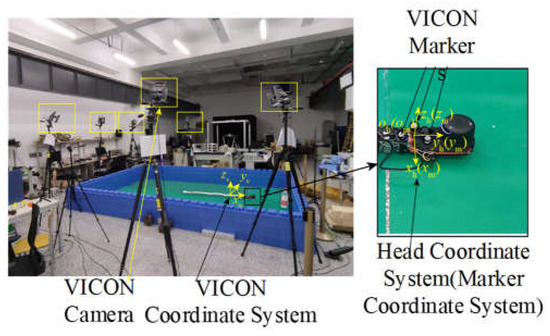 Study on Head Stabilization Control Strategy of Non-Wheeled