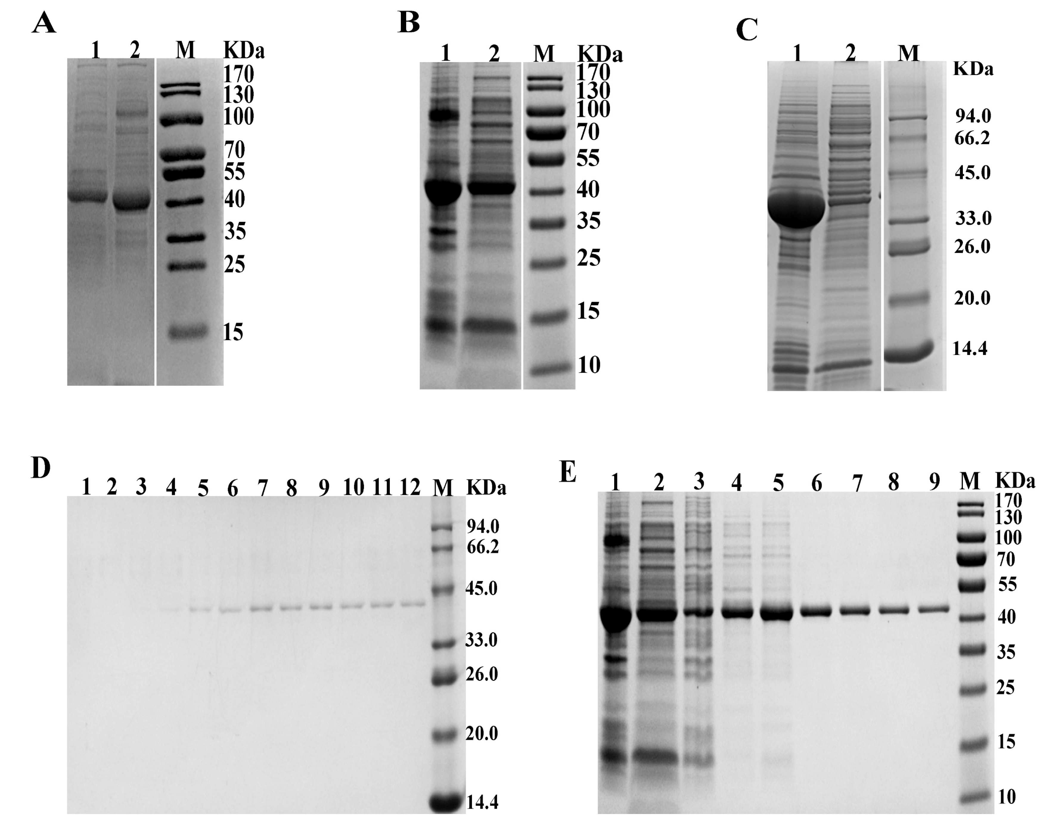 Applsci 13 04493 g002