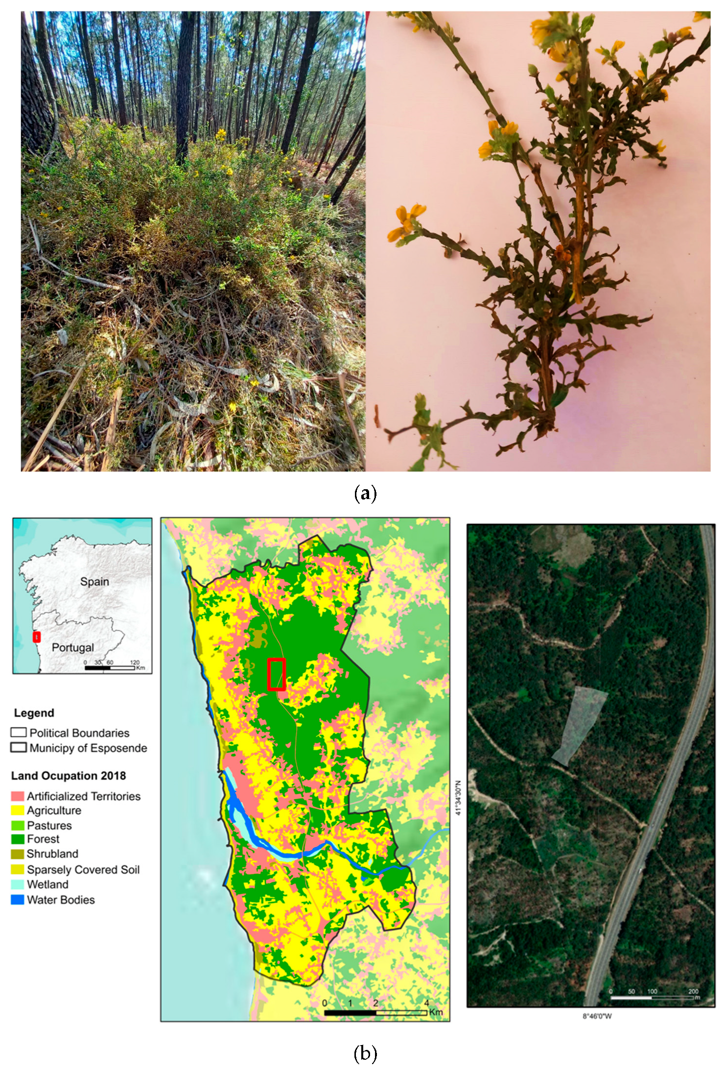 Applsci 13 04494 g001 Applsci 13 04494 g001