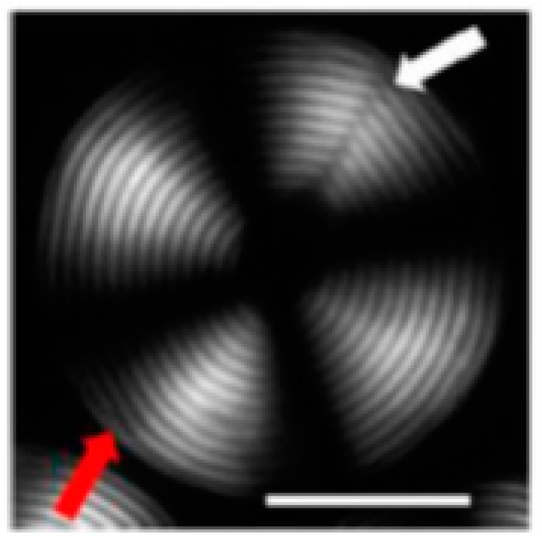 Applsci 13 04507 g011