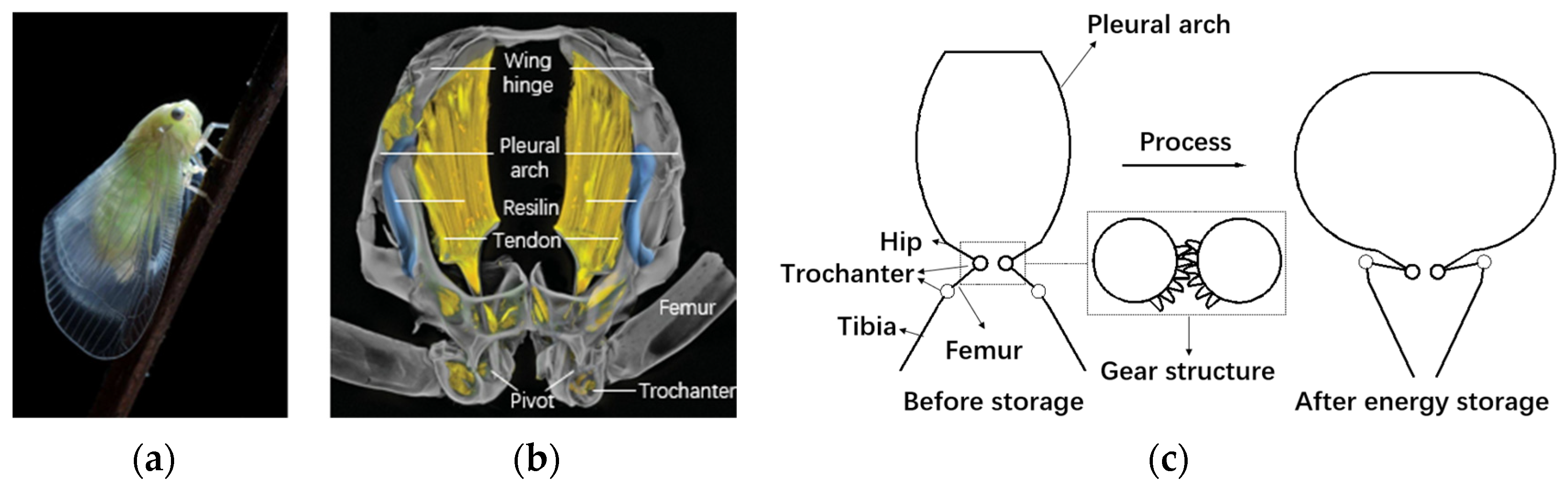 Applsci 13 04534 g001