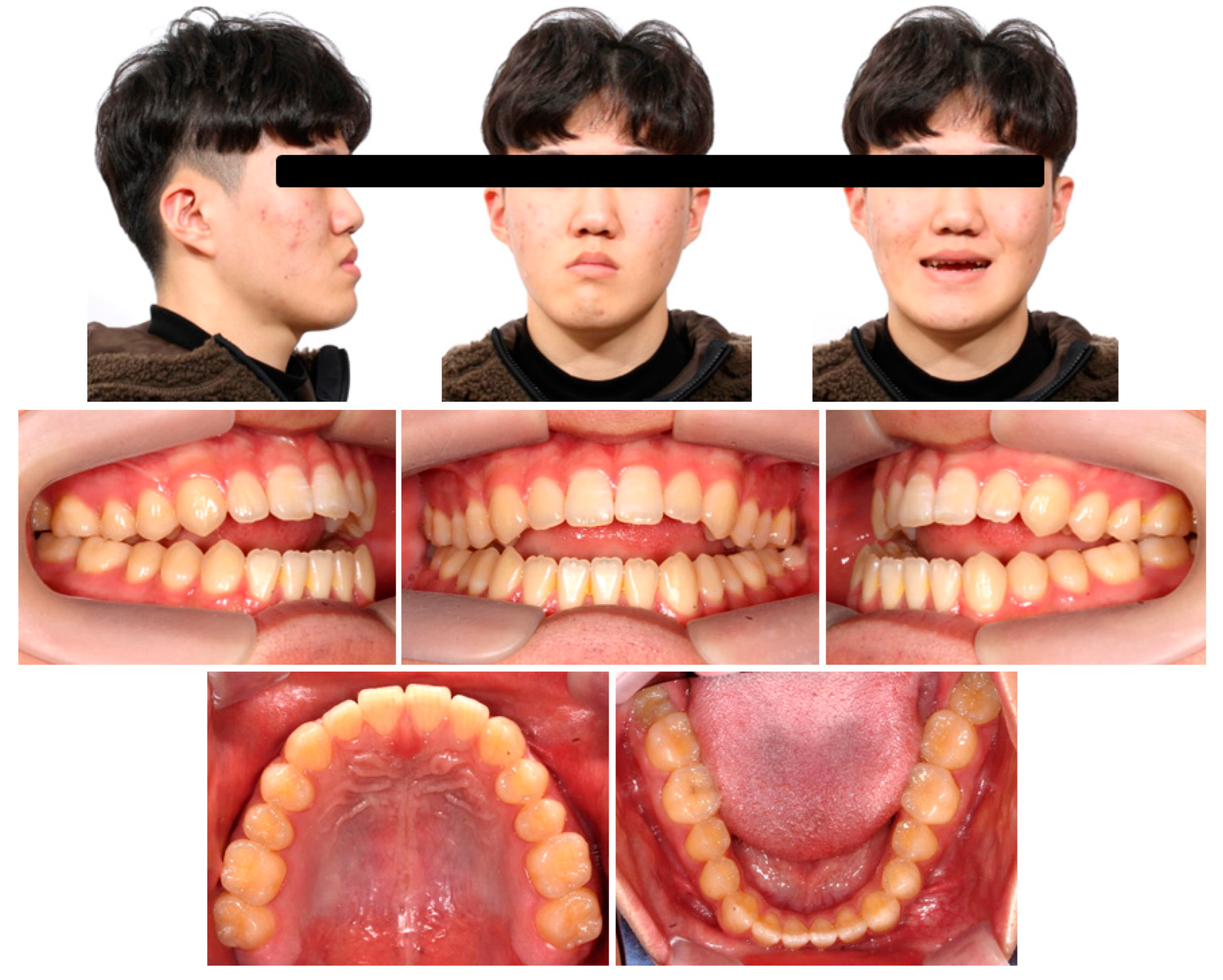 Applsci 13 04535 g001