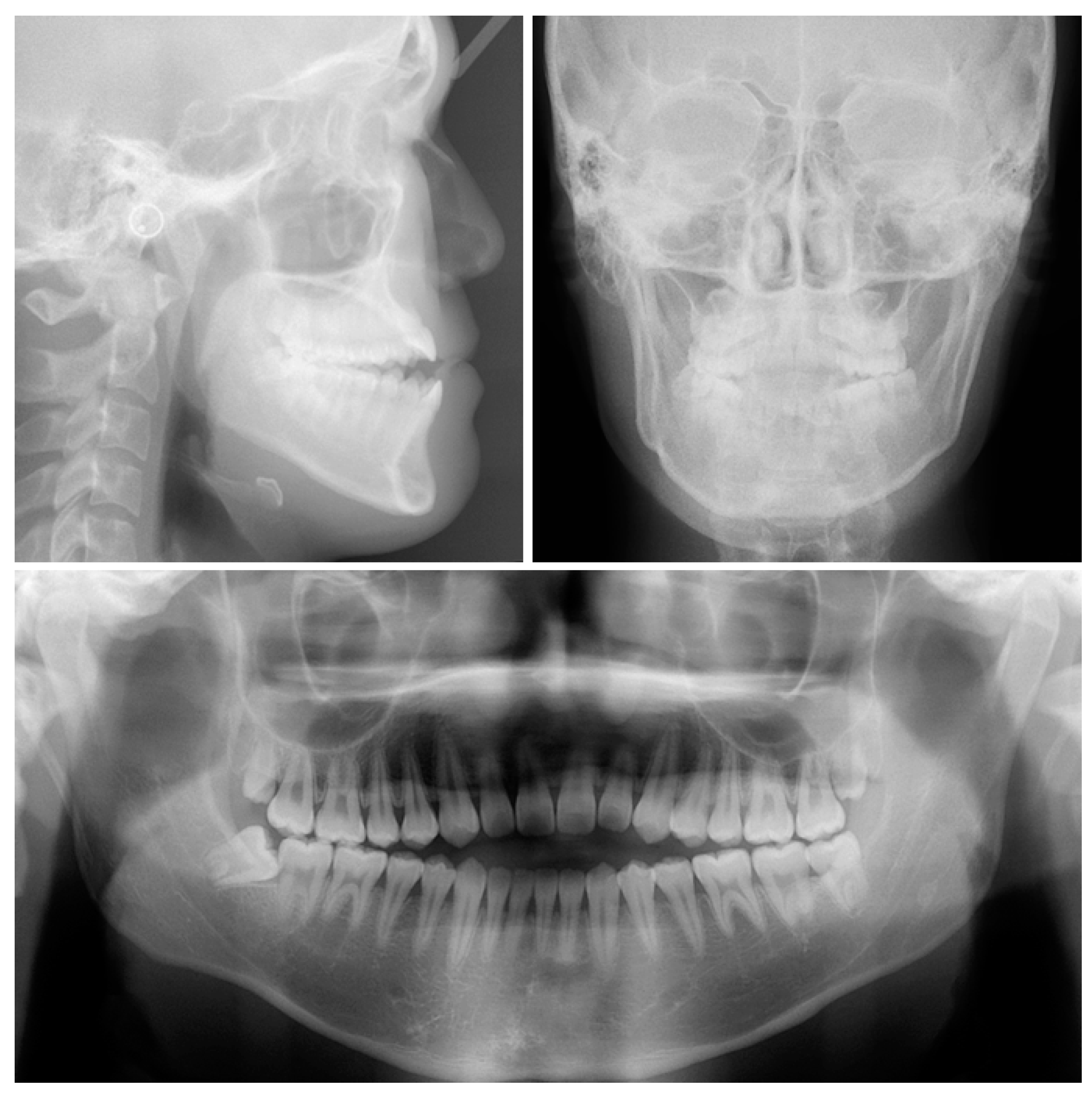 Applsci 13 04535 g003