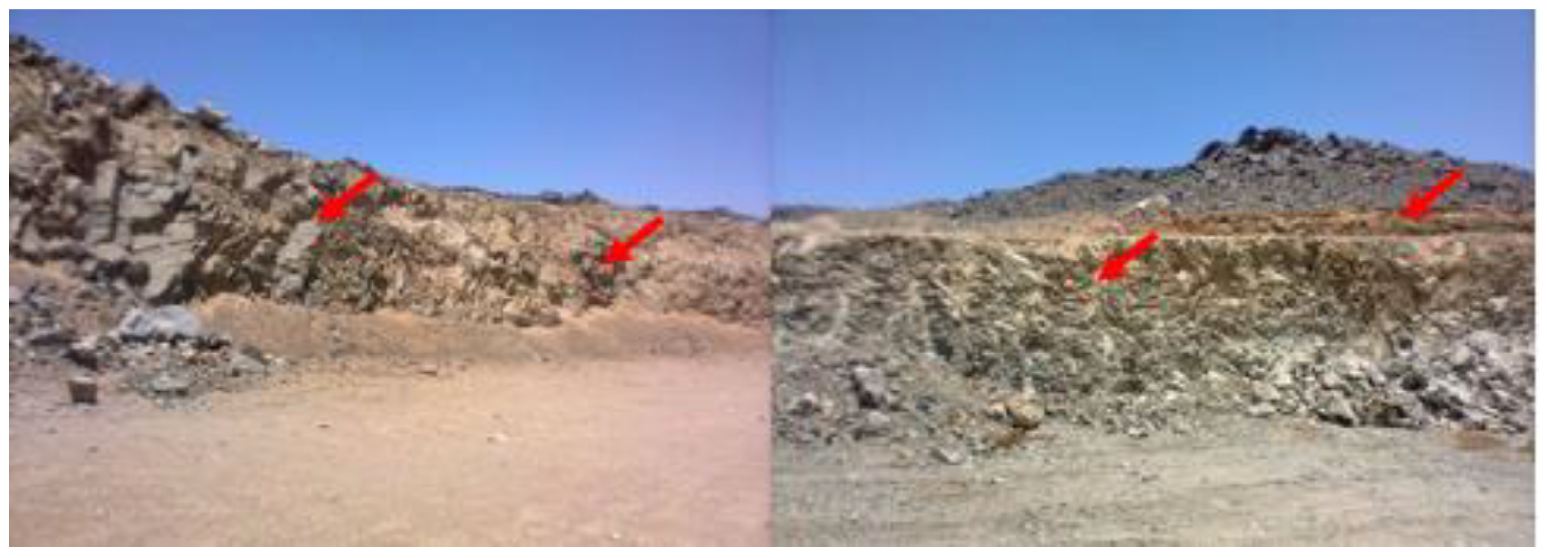 Applsci 13 04564 g003 Applsci 13 04564 g003