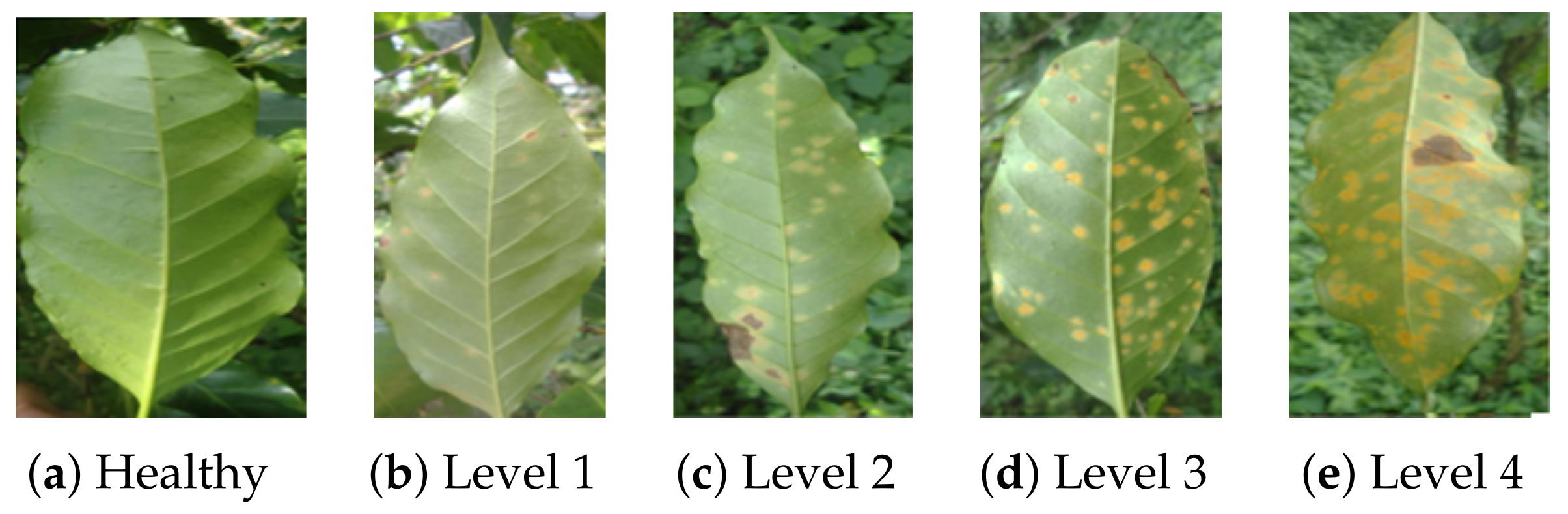 Applsci 13 04565 g003