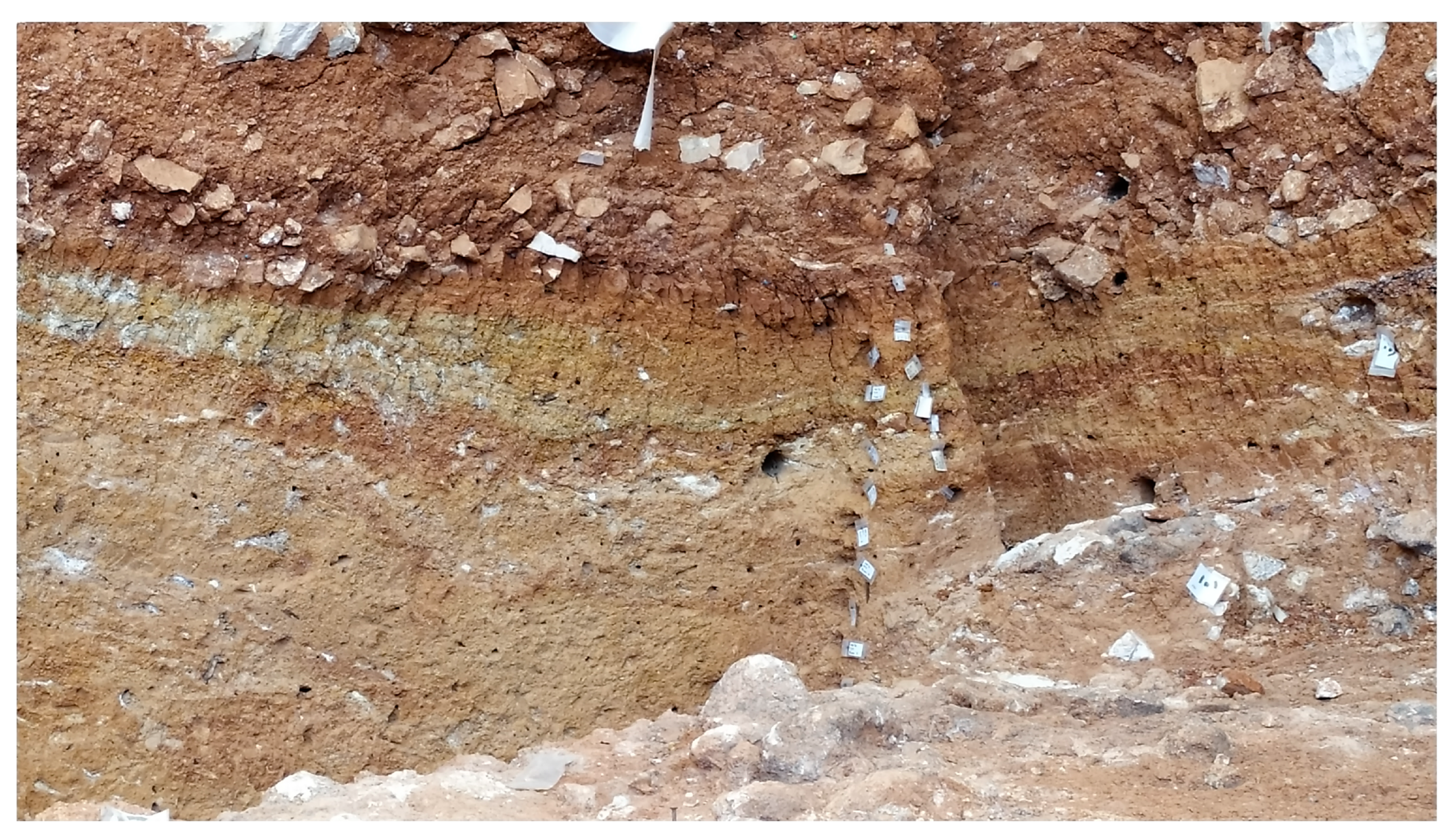 Applsci 13 04580 g012