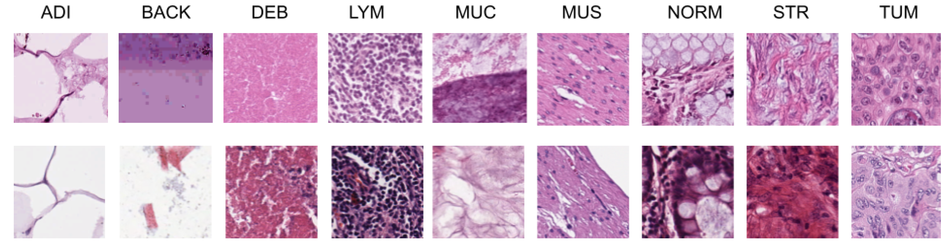 Applsci 13 04594 g005