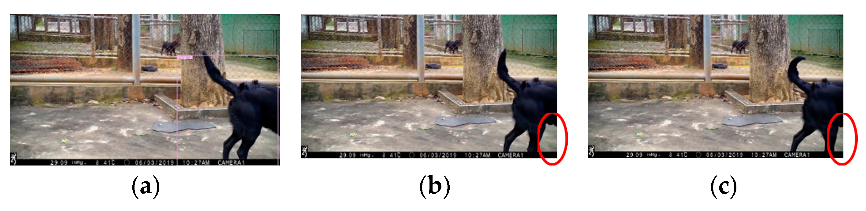 Applsci 13 04596 g018