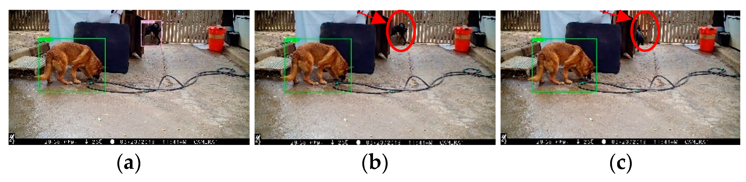 Applsci 13 04596 g019