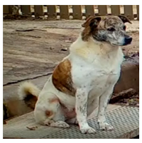 Applsci 13 04596 i003