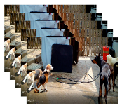 Applsci 13 04596 i005