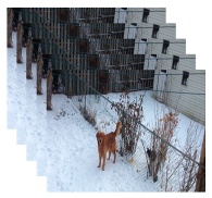 Applsci 13 04596 i006