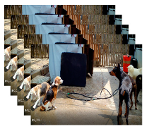 Applsci 13 04596 i007