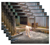 Applsci 13 04596 i008