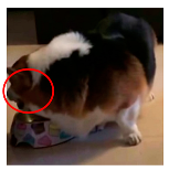 Applsci 13 04596 i011