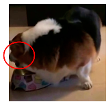 Applsci 13 04596 i012