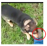 Applsci 13 04596 i015