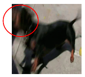 Applsci 13 04596 i018