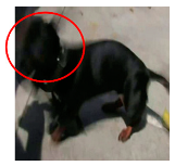 Applsci 13 04596 i019