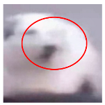 Applsci 13 04596 i020