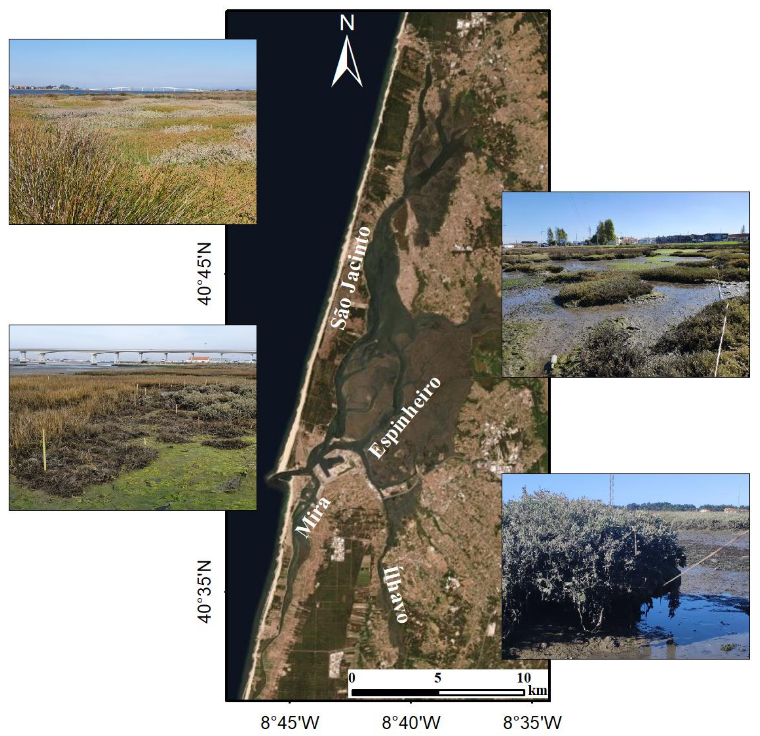 Applsci 13 04605 g001 Applsci 13 04605 g001