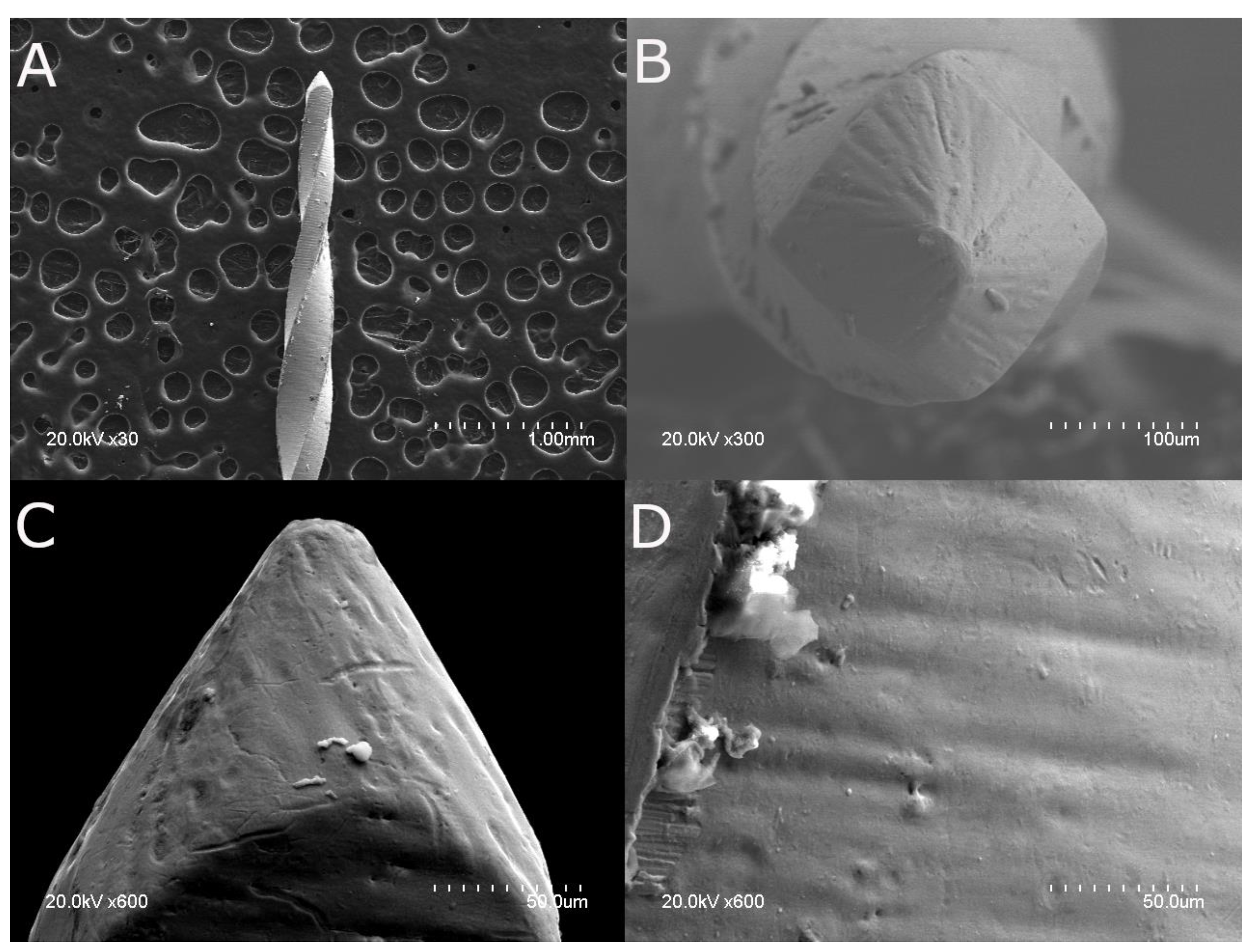 Applsci 13 04612 g001