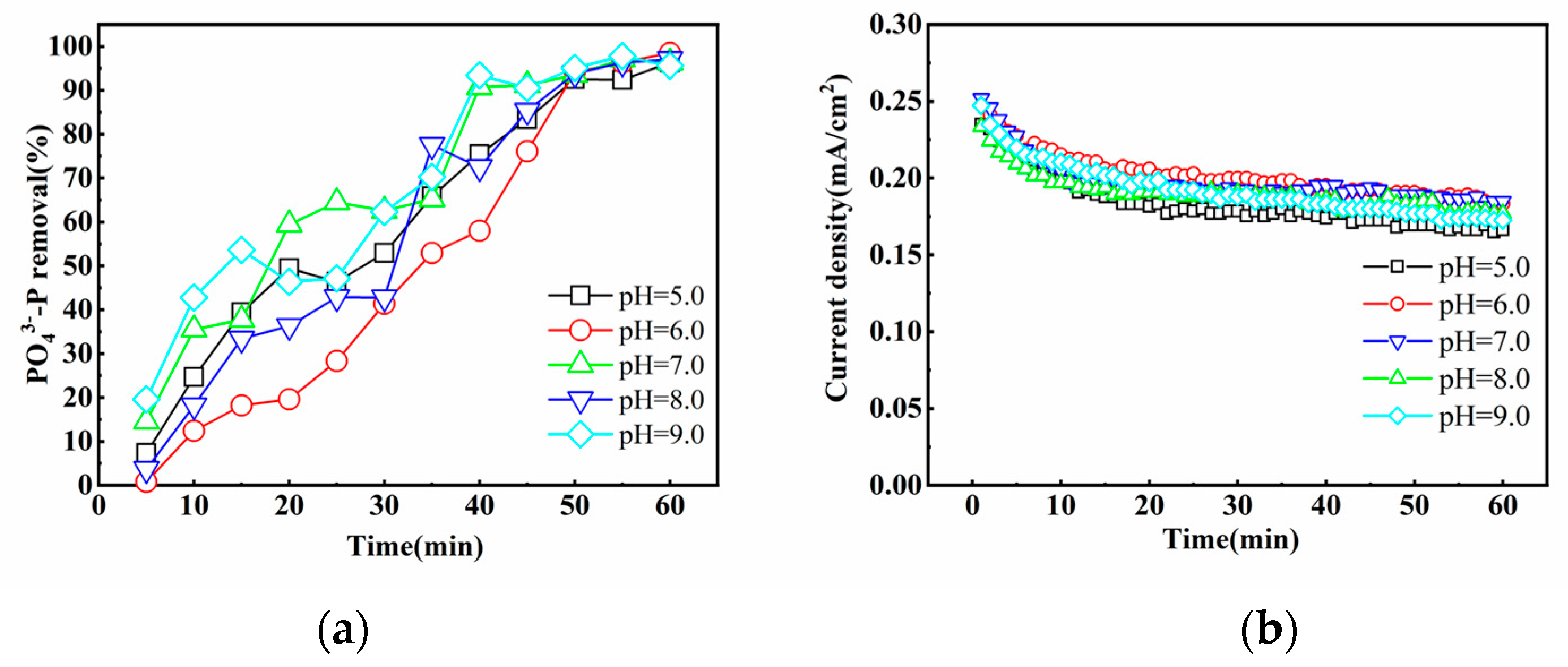 Applsci 13 04628 g004